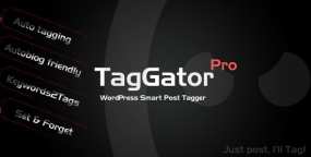 [2.11]自动文章标签生成器WordPress插件Tagor Pro汉化版