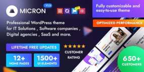 Micron软件公司IT服务和IT解决方案WordPress主题V1.2.1