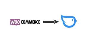 [3.48.0]Moneybird自动发票生成API集成WooCommerce插件