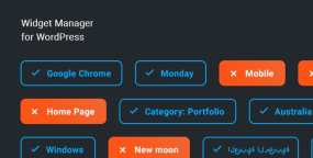 [1.0.2]Widget Manager小工具管理器WordPress插件 破解无限制版