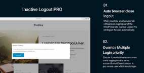 WordPress插件Inactive Logout Pro汉化版V2.3.4 用户无活动超时自动登出