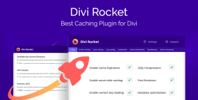Divi Rocket缓存优化网站加速WordPress插件V1.0.50