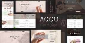 Accu破解版v3.8：中医针灸按摩理疗网站模板WordPress主题
