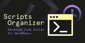 Script organizer Pro破解版(v3.9)高级代码编辑器WordPress插件