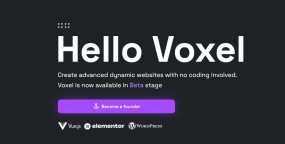 Voxel汉化版_WordPress动态内容主题框架
