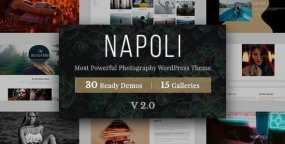 Napoli V2.4.4 | 含30组演示摄影师摄影作品集网站