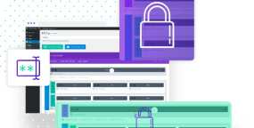 Divi Protect密码保护Section区段Divi主题插件V2.2.7