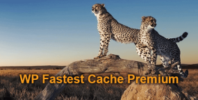 WP Fastest Cache Premium汉化版_页面缓存网站优化插件
