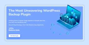 Backuply Pro汉化版V1.5.2 | 自动备份和一键还原WordPress插件