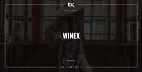 Winex创意即将推出落地页HTML5网站模板V1.0