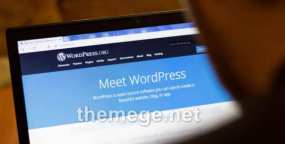 12 个对SEO成功至关重要的WordPress网站设置