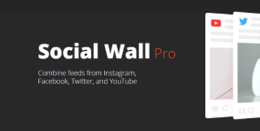 Social Wall Pro社交媒体网站频道Feeds聚合WordPress插件