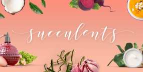 Succulents健康生活方式和健康主题网站WordPress主题