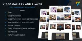Video Gallery and Player Pro视频库和视频播放器WordPress插件