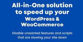 Disable Bloat Pro(v3.4.8)禁用冗余功能和网站优化WordPress插件