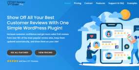 WP Review Slider Pro客户评价自动采集展示WordPress插件