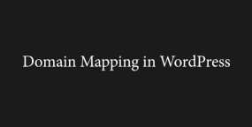 DMapper Pro域名映射系统WordPress插件