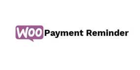 Payment Reminder Pro邮件提醒买家付款WooCommerce插件