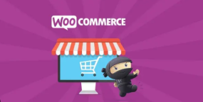 WooCommerce PayPal Advanced高级贝宝支付插件V1.24.12