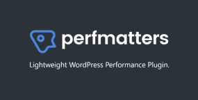 Perfmatters汉化版_WordPress轻量级网站优化插件