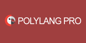 Polylang Pro_多语言切换翻译支持WordPress插件