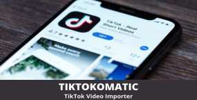 TikTokomatic汉化版V1.1.3.1 国外抖音短视频导入器WordPress插件