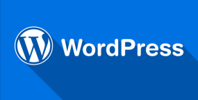 Wordpress建站教程：禁用头像和评论来给网站加速
