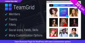 Team Grid汉化版V1.3.6 团队成员展示WordPress插件