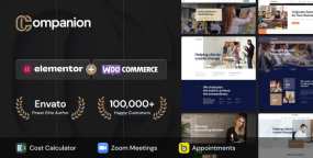 Companion市场营销|人力资源|商务咨询网站WordPress主题V1.0.6