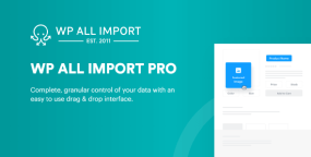 WP All Import Pro汉化版_WordPress批量数据导入插件+组件包