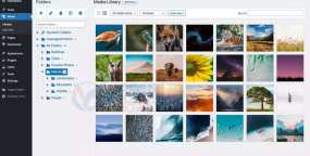 Wicked Folders Pro汉化版_WordPress媒体文件夹插件
