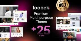 Loobek汉化版_WordPress数码服装跨境电商主题