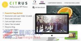 Citrus含6演示单页网站模板WordPress主题