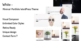 White品牌设计和网站开发案例展示WordPress主题