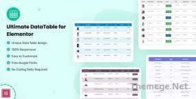 Datalentor数据表格页面元素Elementor组件