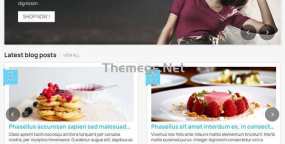 Amazzing blog 1.5.6 快如闪电博客系统Prestashop插件