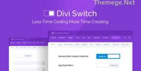 Divi Switch Pro破解版4.0.19 自定义配置选项WordPress插件