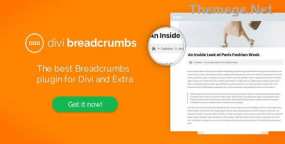 Divi Breadcrumbs破解版1.4.5 Divi面包屑定制器插件