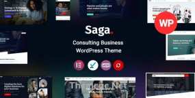 Saga WordPress主题_广告营销和HR咨询企业网