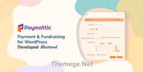 Paymattic Pro汉化版_WordPress支付和捐赠插件