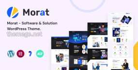 Morat软件开发公司网站模板WordPress主题