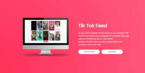 TikTok Feed Pro_TikTok短视频集成WordPress插件