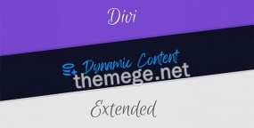 Divi Dynamic Content Extended动态内容插入器Divi插件v1.2.1