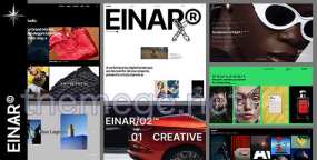 Einar破解版(v1.3)产品UI/UX设计案例网站WordPress主题