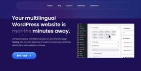 Polylang AI addon破解版(V3.11.2)AI多语言自动翻译器WordPress插件