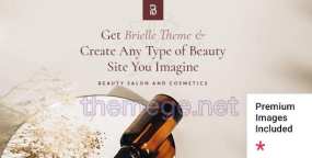Brielle破解版v1.1 | 美容SPA和化妆品店WordPress主题