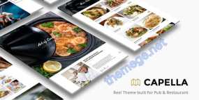 Capella v2.5.5|五星级酒店网站WordPress主题
