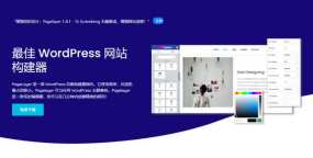 PageLayer Pro汉化版_WordPress可视化网页设计插件