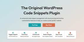 Code Snippets Pro汉化版_WordPress代码片段管理插件