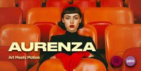 Aurenza v1.0.11_短视频&影视特效WordPress作品集主题